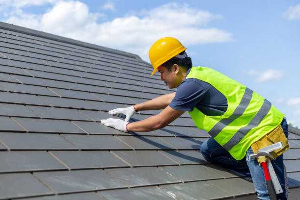 Best Storm Damage Roof Repair  in West Hammond, NM